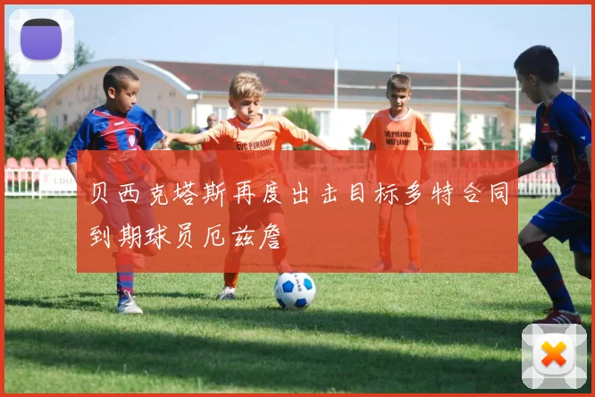 贝西克塔斯再度出击目标多特合同到期球员厄兹詹