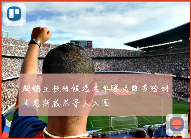 鹈鹕主教练候选名单曝光隆多哈姆肖恩斯威尼等人入围